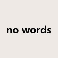 no words是什么意思