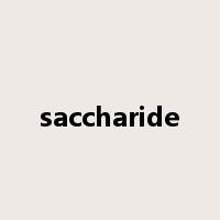 saccharide是什么意思
