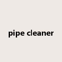 pipe cleaner是什么意思