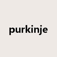 purkinje是什么意思