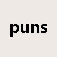 puns是什么意思