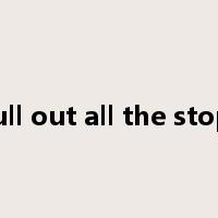 pull out all the stops是什么意思