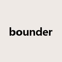 bounder是什么意思