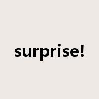 surprise!是什么意思