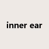 inner ear是什么意思