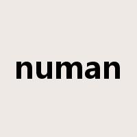 numan是什么意思