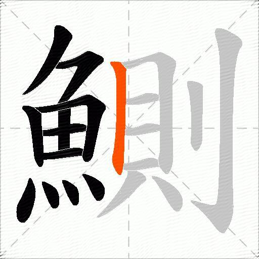 鰂