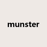 munster是什么意思