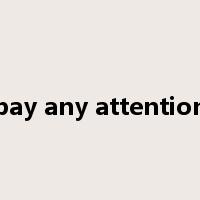 pay any attention是什么意思