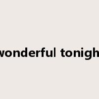 wonderful tonight是什么意思