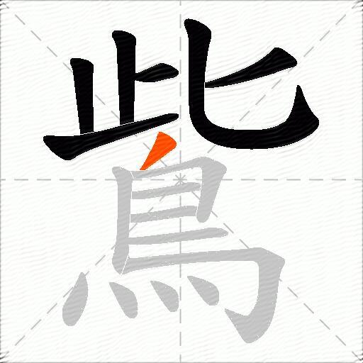 鴜