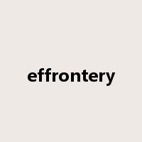 effrontery是什么意思