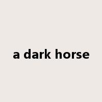 a dark horse是什么意思