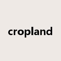 cropland是什么意思