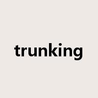 trunking是什么意思