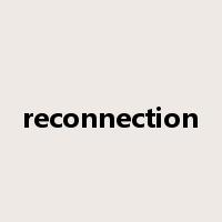 reconnection是什么意思