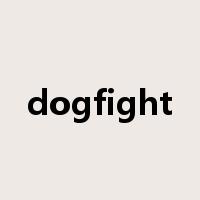 dogfight是什么意思