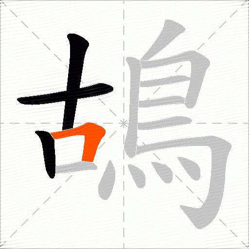 鴣
