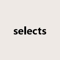selects是什么意思