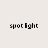 spot light是什么意思