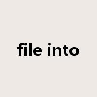 file into是什么意思