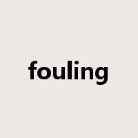 fouling是什么意思