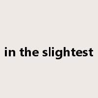 in the slightest是什么意思