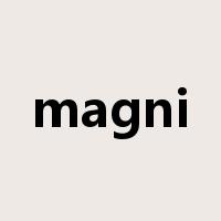 magni是什么意思