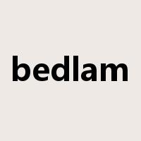 bedlam是什么意思