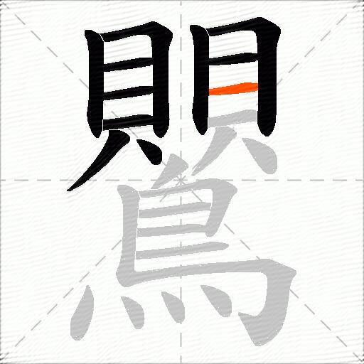 鸎