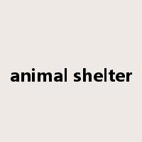 animal shelter是什么意思