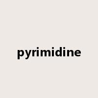 pyrimidine是什么意思