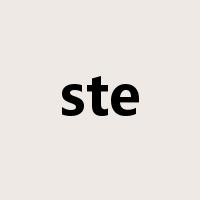 ste是什么意思