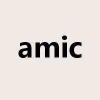 amic是什么意思