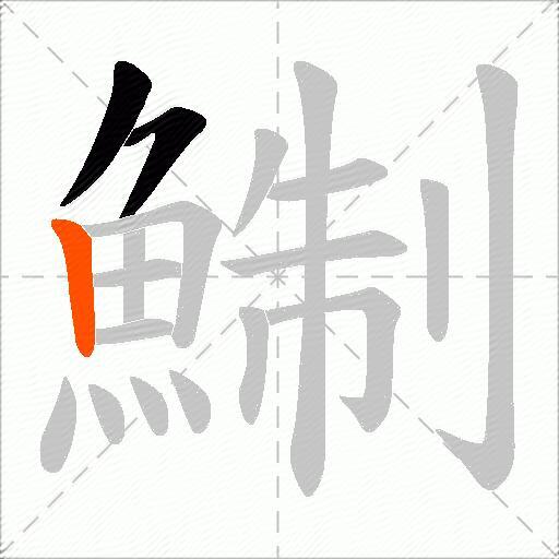 鯯