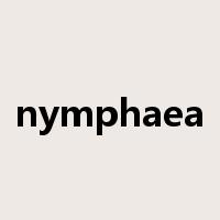 nymphaea是什么意思