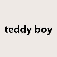 teddy boy是什么意思