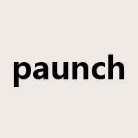 paunch是什么意思