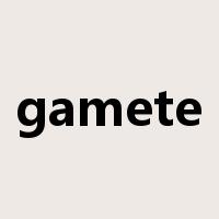 gamete是什么意思