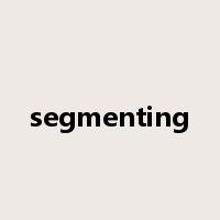 segmenting是什么意思