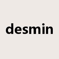desmin是什么意思
