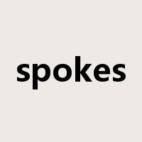 spokes是什么意思