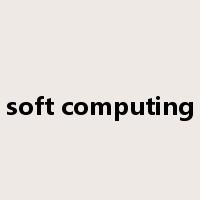 soft computing是什么意思