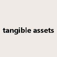 tangible assets是什么意思