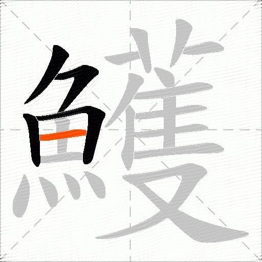 鱯