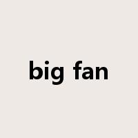 big fan是什么意思