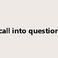 call into question是什么意思