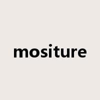 mositure是什么意思