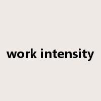 work intensity是什么意思
