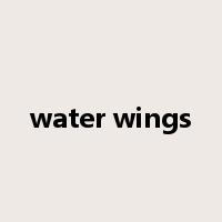 water wings是什么意思